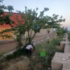 فروش 33 درصد از سهام کارخانه تولید لوازم خانگی دراستان مرکزی