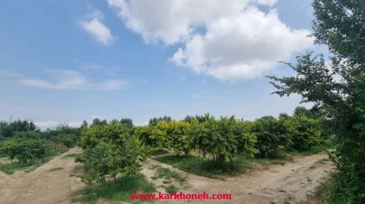 فروش زمین با چاه و مجوزات آب معدنی