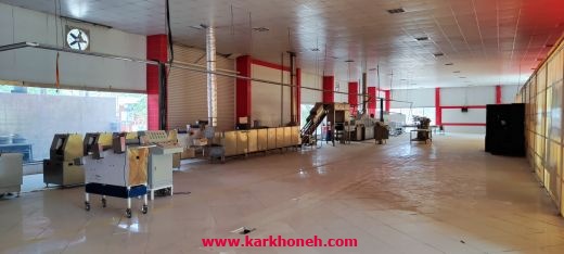 کارخانه تولید نودل در شهرک صنعتی پایتخت 